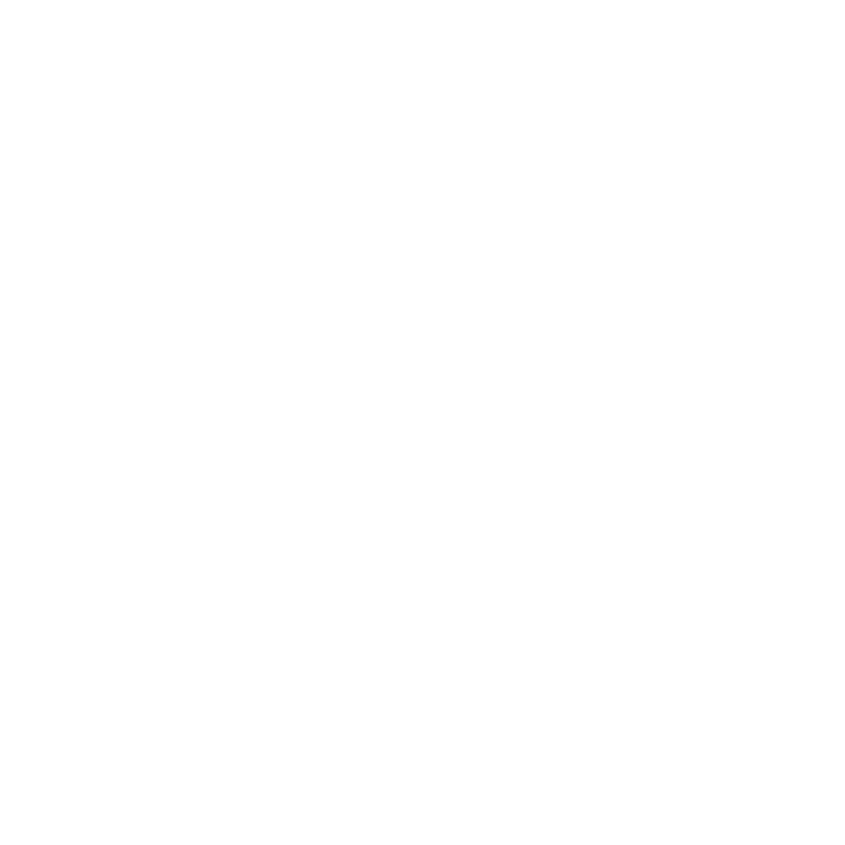 Fast Hook Digital Logo